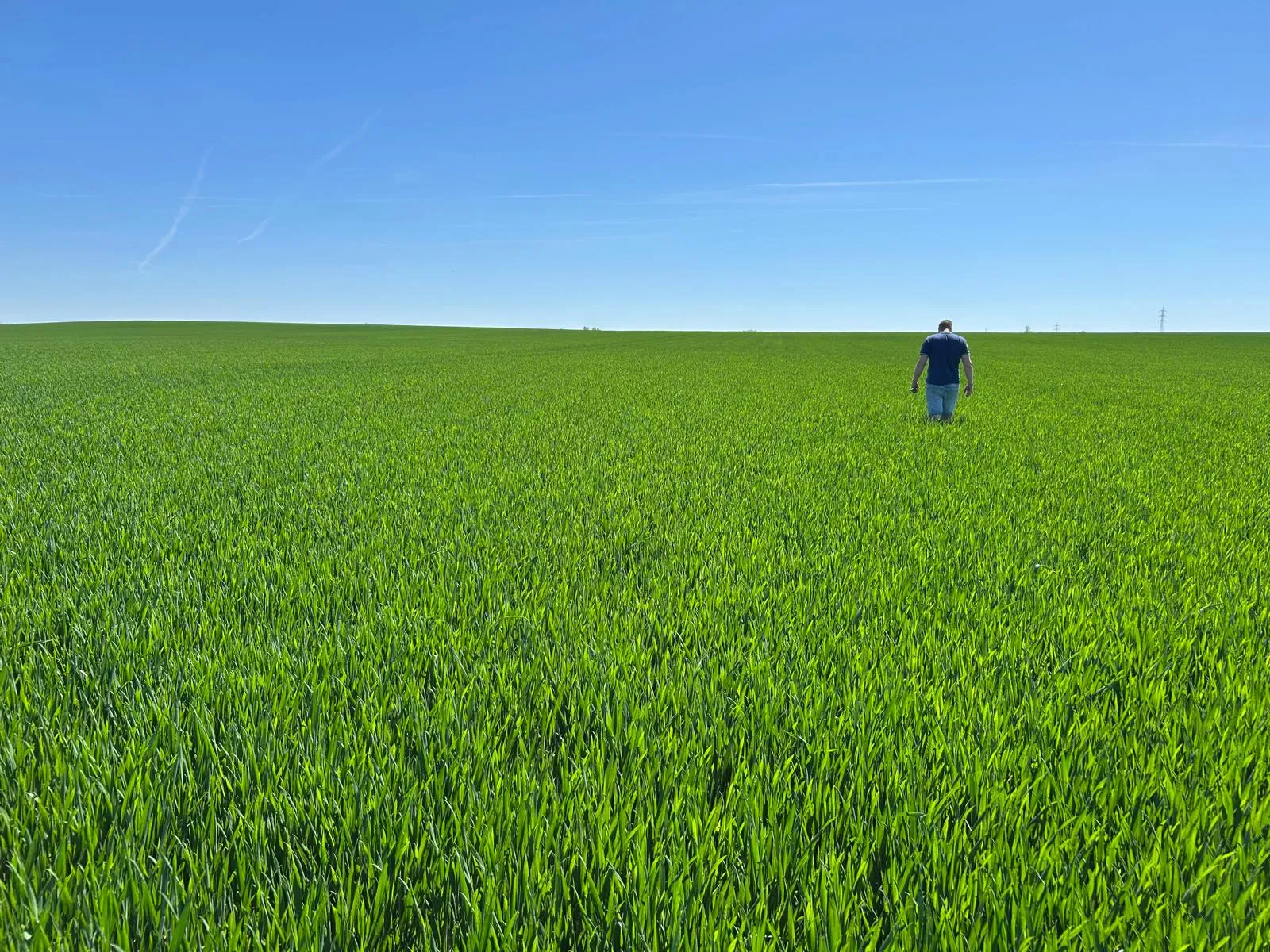 Un conseiller agronome dans un champs