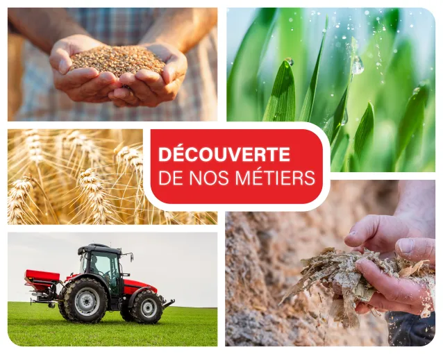 visuel avec les images de nos cinq lignes produits : c&eacute;r&eacute;ales, semences, engrais, produit phytosanitaire, aliment pour le b&eacute;tail