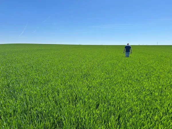 la-scam-actualite-nos-conseillers-agronomes-4
