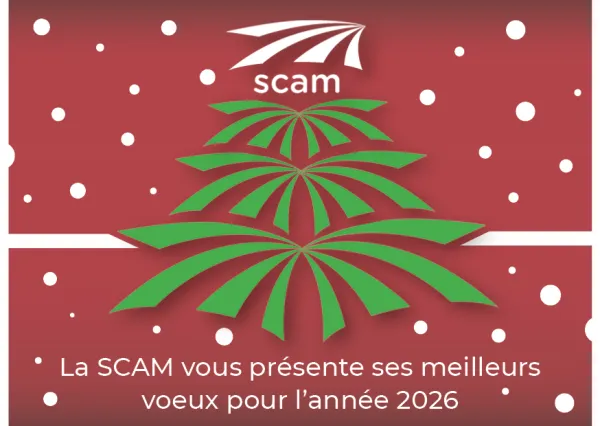 image repr&eacute;sentant le visuel de la carte de voeux 